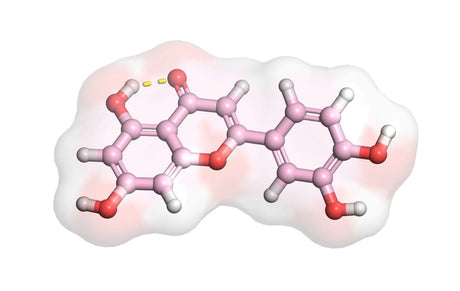 Luteolin – en kraftfull flavonoid fra naturen