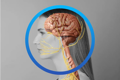 Neorhythm og stimulering av vagusnerven