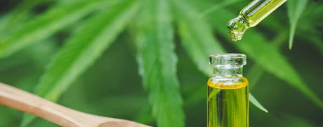 CBD (cannabidiol) ett naturmiddel - Uno Vita AS