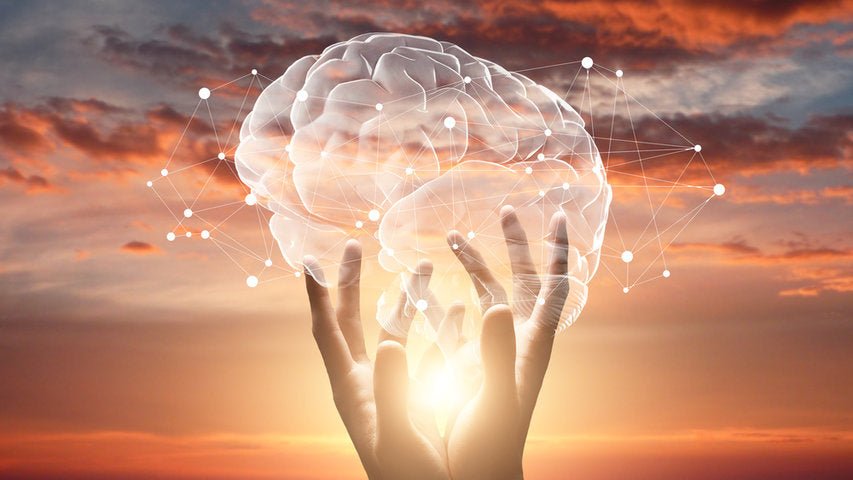 Neurologi & Hjerne - Uno Vita AS