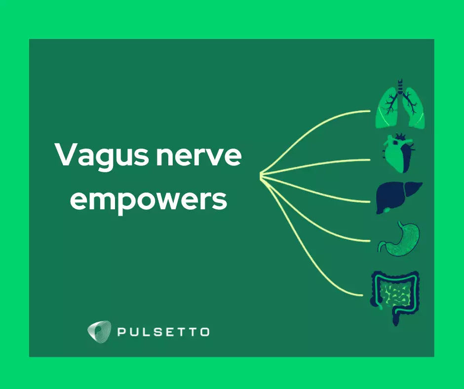 Pulsetto - your vagus nerve stimulation device