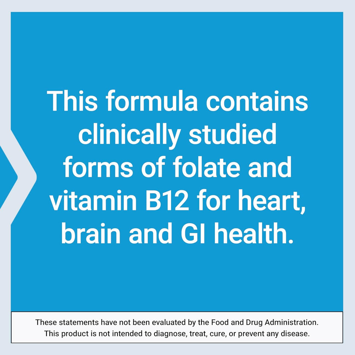 BioActive Folate & Vitamin B12