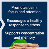 Best In Class Ashwagandha Plus Calm & Focus