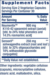Best In Class Ashwagandha Plus Calm & Focus