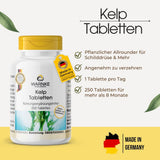 Kelp-tabletter i en hvit beholder med gult lokk, etikett viser grønne blader og informasjon om 250 tabletter.