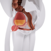 Uno Vita`s EM Chair Pelvic Floor Stimulation