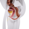 Uno Vita`s EM Chair Pelvic Floor Stimulation