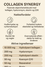 Scientific Beauty Formulation Collagen Synergy