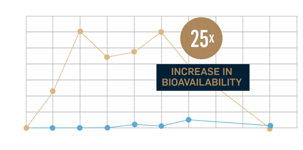 LipoTone™ – liposomal dietary supplement with DNF-10® and choline