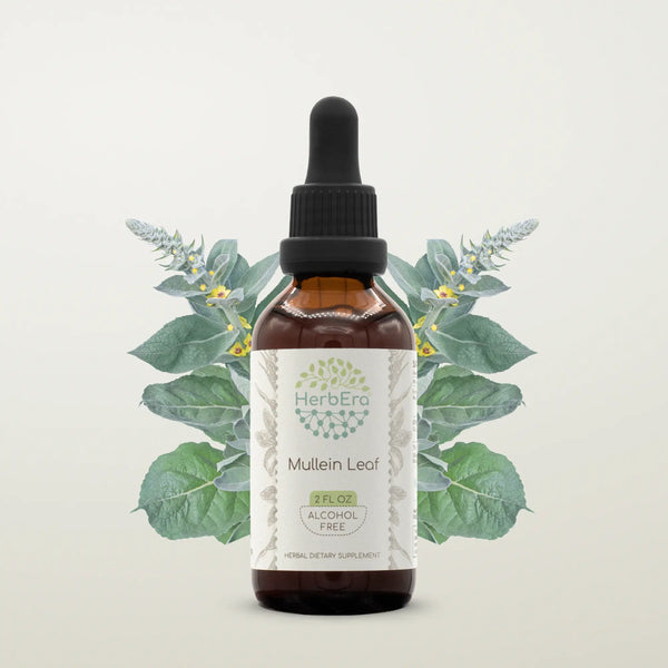 HerbErea Mullein Leaf Tincture