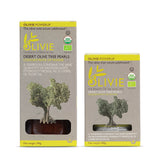 OLIVIE POWER UP - Rare Healthy Pearls... (100 grams)