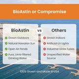 BioAstin Supreme astaxantin, veganske softgels, dyrket utendørs i Hawaii, med klart vann og naturlig sollys.