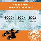 Sorte veganske softgels av astaxantin mot sjøbakgrunn, equaling 6 mg astaxantin per kapsel, 60 kapsler per flaske.