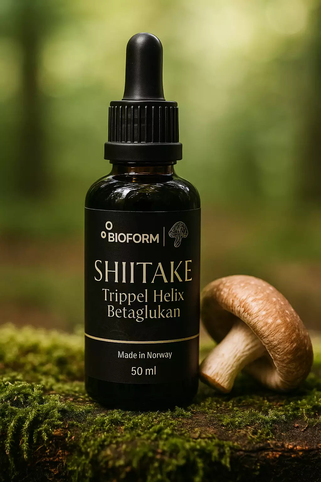 Shiitake Beta-Glucan (Tripple Helix Structure)
