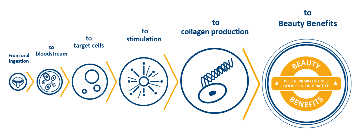 Marine Collagen Peptides Powder - Clinically Studied Brand VERISOL