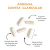 Adrenal Cortex (100 mg and 100 capsules) - Uno Vita AS