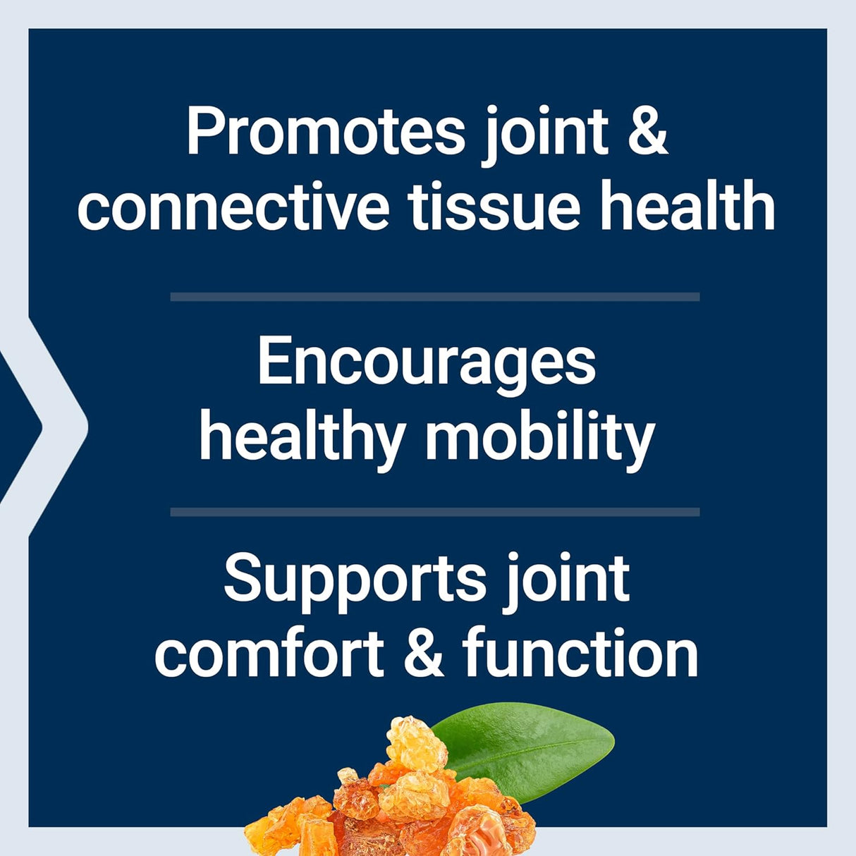 ArthroMax® Advanced with NT2 Collagen™ & AprèsFlex® - Uno Vita AS