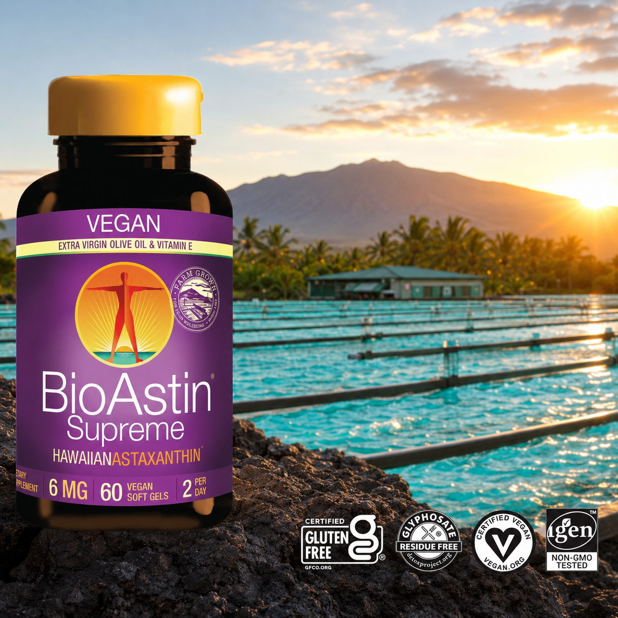BioAstin Supreme astaxantinflaske med 60 veganske softgels, plassert ved en svømmebasseng i Hawaii.