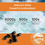 Sorte veganske softgels av astaxantin mot sjøbakgrunn, equaling 6 mg astaxantin per kapsel, 60 kapsler per flaske.