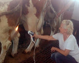 BIOPTRON MedAll - Uno Vita AS