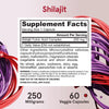 Shilajit Fulvic Acid Complex-kapsler i en hvit flaske med svart etikett og beskrivelse, på fargerik bakgrunn.