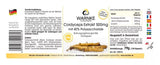 Cordyceps Extract 500mg with 40% Polysaccharides - 120 capsules - easy to swallow - Uno Vita AS