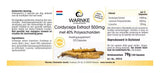 Cordyceps Extract 500mg with 40% Polysaccharides - 120 capsules - easy to swallow - Uno Vita AS