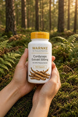 Cordyceps Extract 500mg with 40% Polysaccharides - 120 capsules - easy to swallow - Uno Vita AS