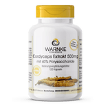 Cordyceps Extract 500mg with 40% Polysaccharides - 120 capsules - easy to swallow - Uno Vita AS