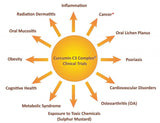 Curcumin C3 complex (1000 mg) - Uno Vita AS