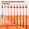 Uno Vita RLPRO1000-X2 – 9-Wavelength Red Light and NIR Panel with Music, App and Luci Phi
