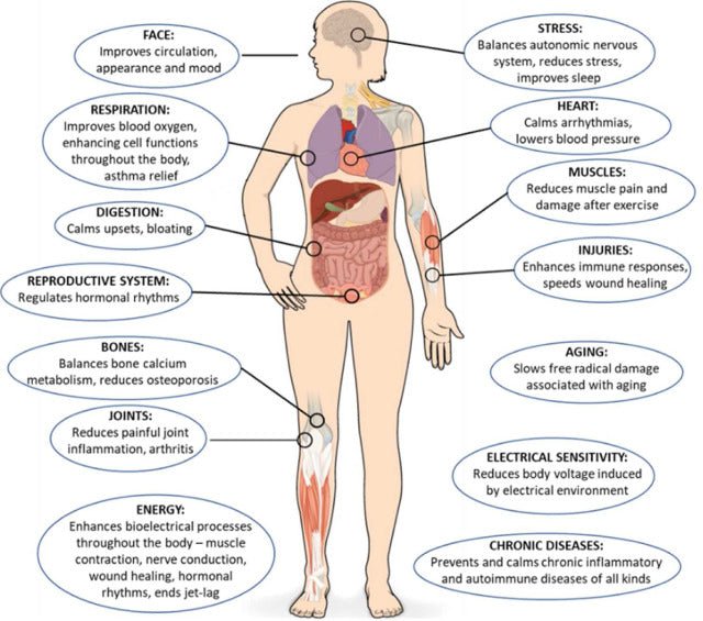 Earthing High - Silver Fitted Grounding Sheet (152x203cm) - Uno Vita AS