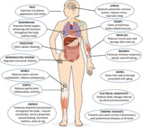 Earthing High - Silver Fitted Grounding Sheet (152x203cm) - Uno Vita AS