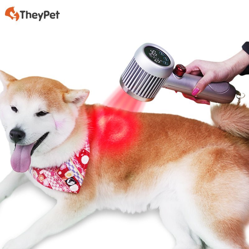 HD - CureX (Class IV laser) - Uno Vita AS