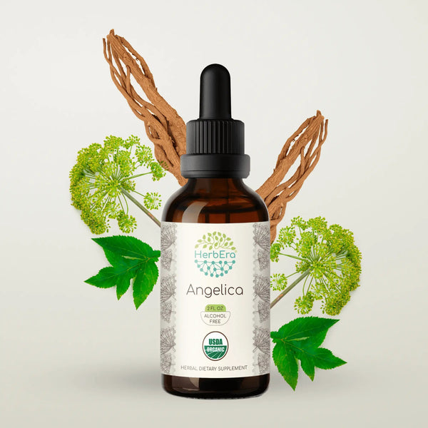 HerbEra Angelica Tincture - Uno Vita AS