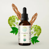 HerbEra Angelica Tincture - Uno Vita AS