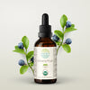 HerbEra Bilberry Fruit Tincture - Uno Vita AS