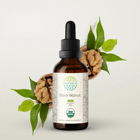 HerbEra Black Walnut Tincture - Uno Vita AS