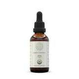 HerbEra Ceylon Cinnamon Tincture - Uno Vita AS