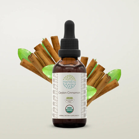 HerbEra Ceylon Cinnamon Tincture - Uno Vita AS