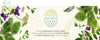 HerbEra Clove Tincture - Uno Vita AS