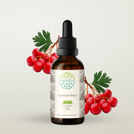 HerbEra Hawthorn Berry Tincture - Uno Vita AS