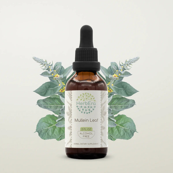 HerbErea Mullein Leaf Tincture - Uno Vita AS