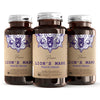 Lion’s Mane 5:1 - Extract 1000mg