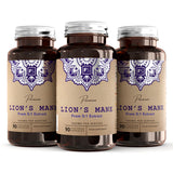 Lion’s Mane 5:1 - Extract 1000mg