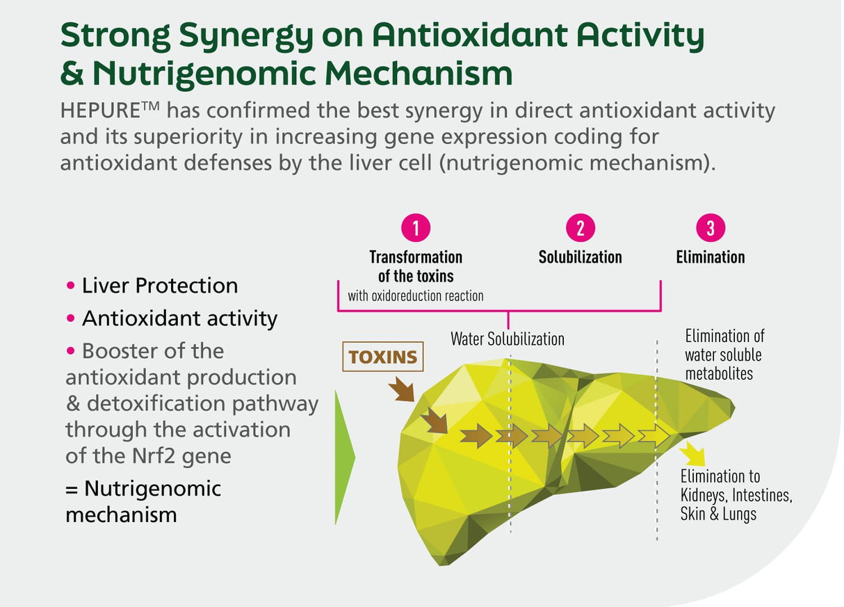 LiverTonic – Advanced Liver Cleanse, Detox & Repair - Uno Vita AS