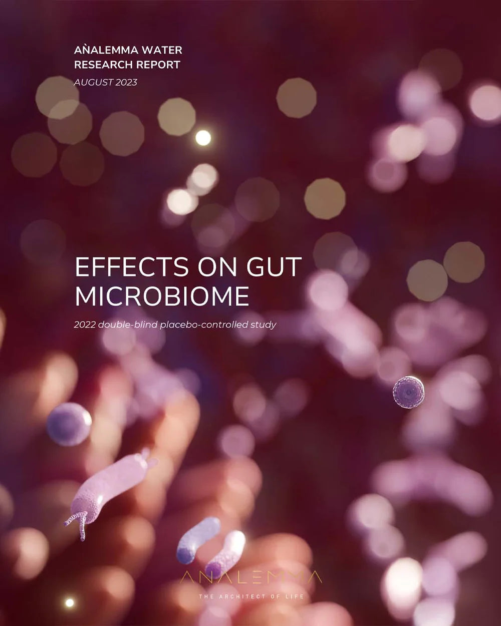 Analemma Water Bottle