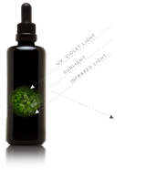 Toxin Binder