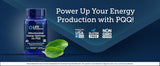 Mitochondrial Energy Optimizer with PQQ - Uno Vita AS