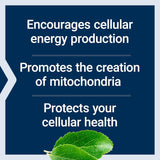 Mitochondrial Energy Optimizer with PQQ - Uno Vita AS